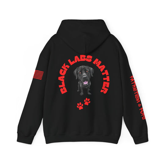 Black Labs Matter Hoodie