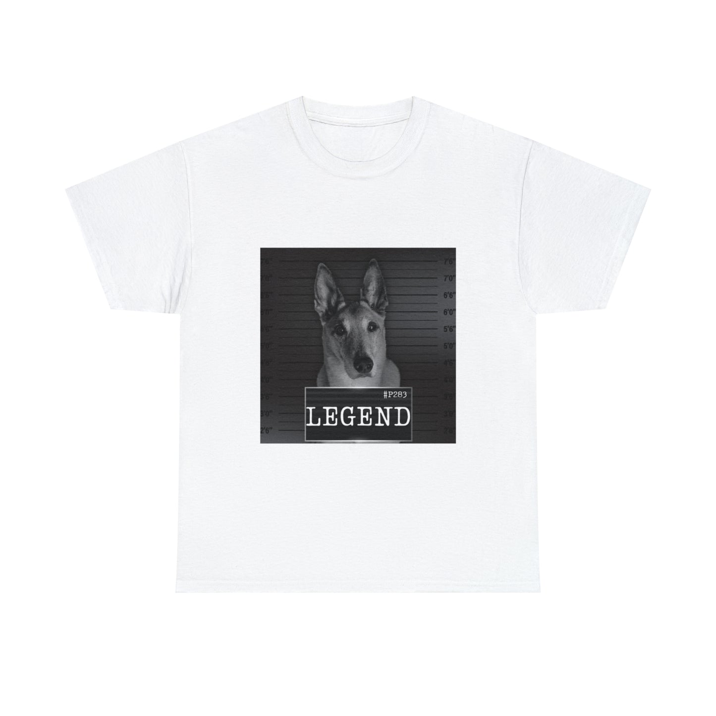 Mal Mugshot T-Shirt