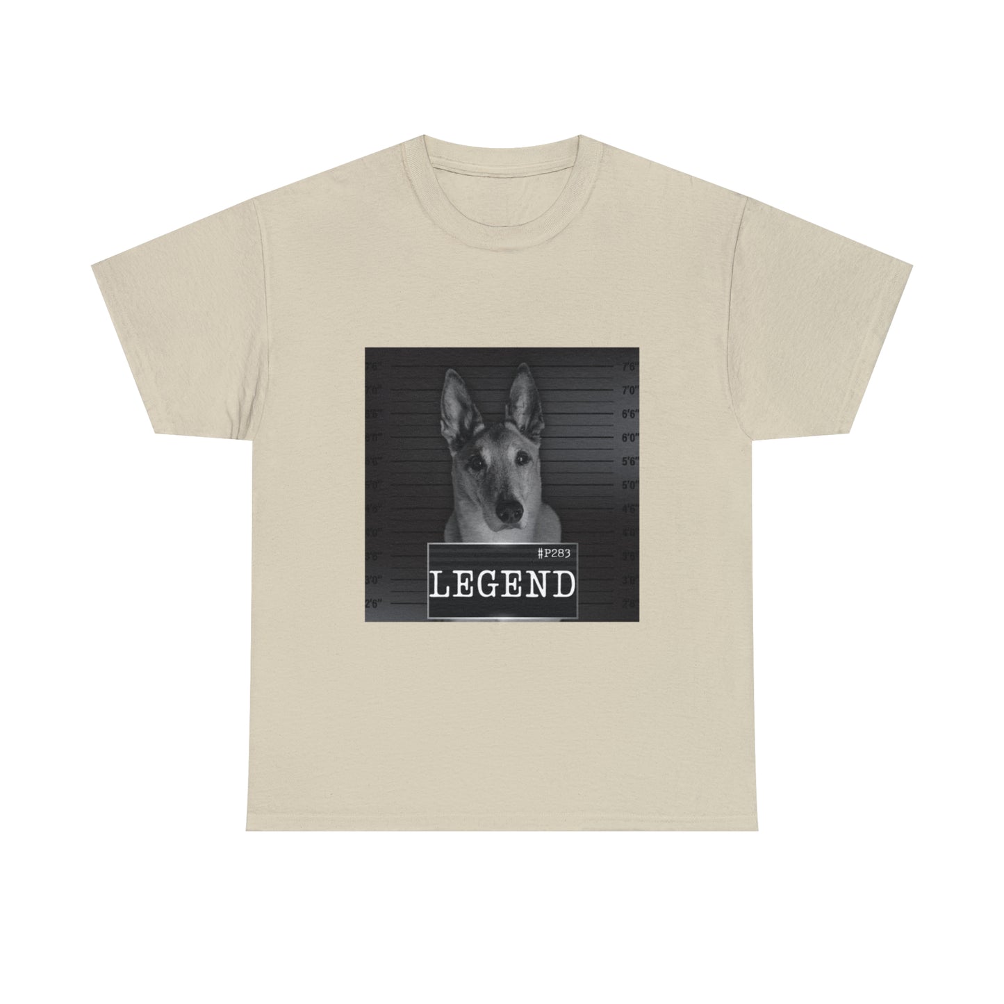 Mal Mugshot T-Shirt