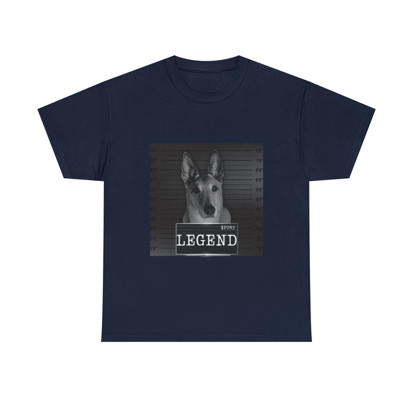 Mal Mugshot T-Shirt